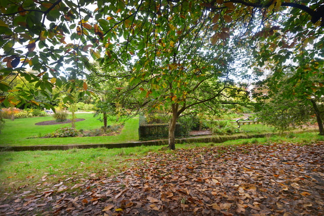 Alexandra Park in Hastings pictured in autumn, 27/10/21 SUS-211027-150604001