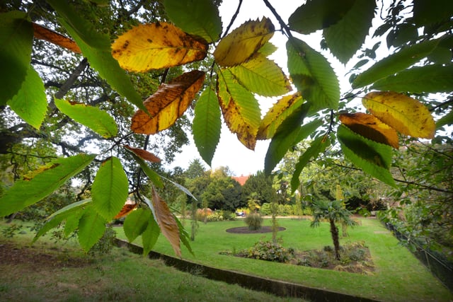 Alexandra Park in Hastings pictured in autumn, 27/10/21 SUS-211027-150618001