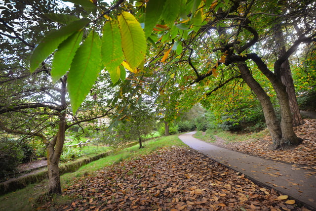 Alexandra Park in Hastings pictured in autumn, 27/10/21 SUS-211027-150631001