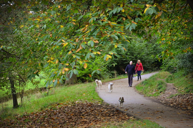 Alexandra Park in Hastings pictured in autumn, 27/10/21 SUS-211027-150659001
