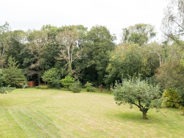 Bashurst Hill, near Itchingfield