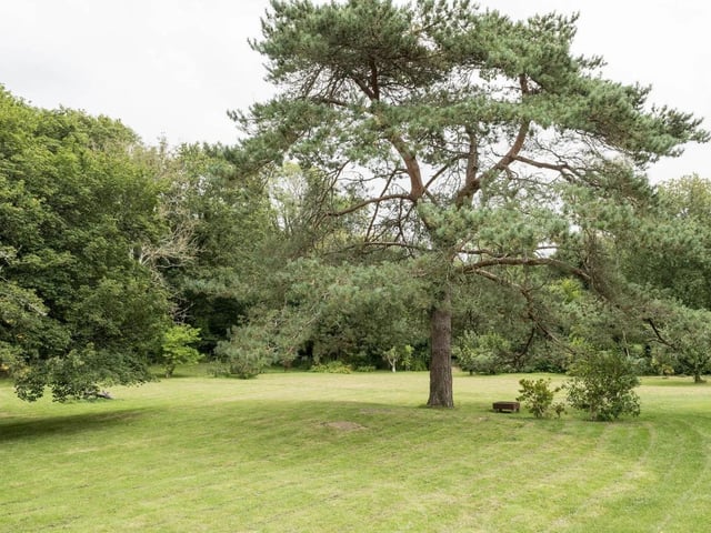 Bashurst Hill, near Itchingfield