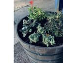 One of the new planters at Warwick station. Photo supplied