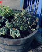 One of the new planters at Warwick station. Photo supplied