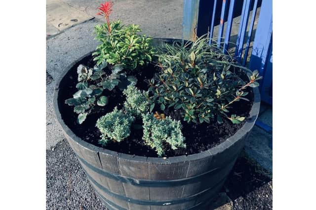 One of the new planters at Warwick station. Photo supplied