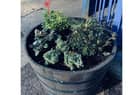 One of the new planters at Warwick station. Photo supplied