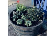 One of the new planters at Warwick station. Photo supplied