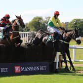 Racing returns to Warwick on Friday, November 5  (Picture by David Pratt)