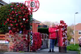 A wonderful knitted Remembrance display