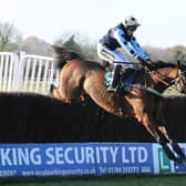 Edwardstone clears the last in the Highflyer Bloodstock Novices' Chase PICTURE  BY DAVID PRATT