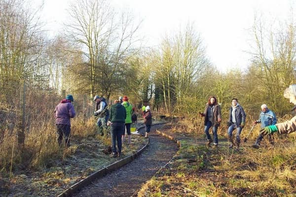 Tree Planting at Foundry Wood in Leamington in 2013. Photo supplied