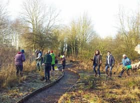 Tree Planting at Foundry Wood in Leamington in 2013. Photo supplied