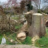 Protected ash trees were cut down in Clifton-on-Dunsmore, breaching a Tree Preservation Order.