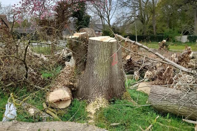 Protected ash trees were cut down in Clifton-on-Dunsmore, breaching a Tree Preservation Order.