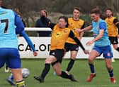Callum Gittings came into Paul Holleran's side for the FA Trophy game
