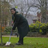 Rugby mayor Cllr Deepah Roberts plants a tree in Jubilee Gardens to celebrate National Tree Week. Photo courtesy of Rugby Borough Council.