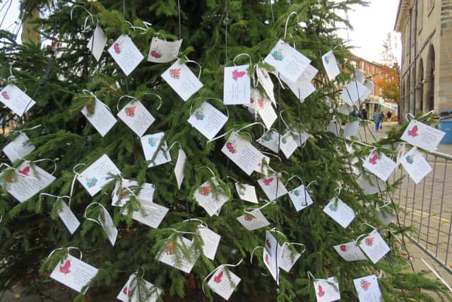 Dedication cards on the Lights of Love tree in Warwick. Photo supplied