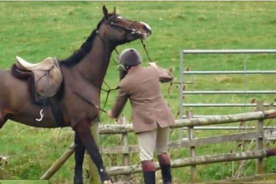 A frame from the video released by hunt saboteurs in which they claim a man hit a horse that refused to cross a wooden bridge