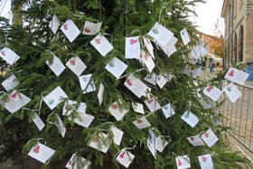 More than 200 dedications have been made to loved ones on Warwick's Lights of Love tree. Photo supplied