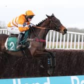 Grand Turina clears the last in the Poundland - The Land That Gives You More Conditional Jockeys' Veterans' Handicap Chase at Warwick on New Year's Eve (Picture by David Pratt)