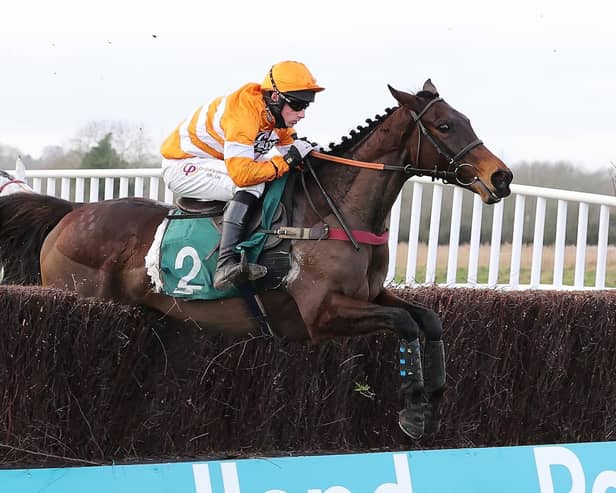 Grand Turina clears the last in the Poundland - The Land That Gives You More Conditional Jockeys' Veterans' Handicap Chase at Warwick on New Year's Eve (Picture by David Pratt)