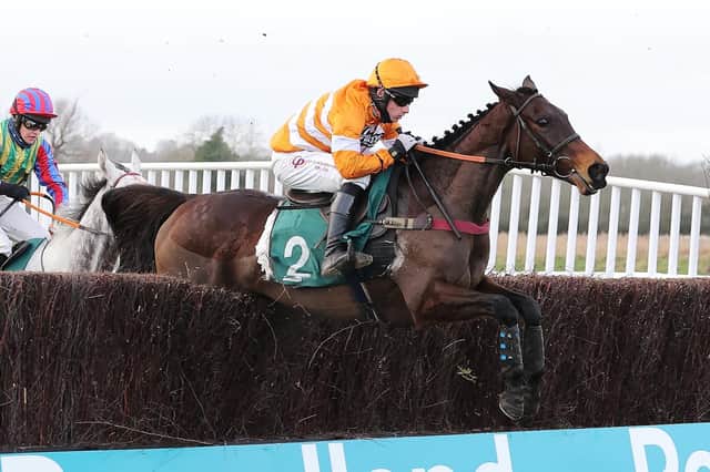 Grand Turina clears the last in the Poundland - The Land That Gives You More Conditional Jockeys' Veterans' Handicap Chase at Warwick on New Year's Eve (Picture by David Pratt)
