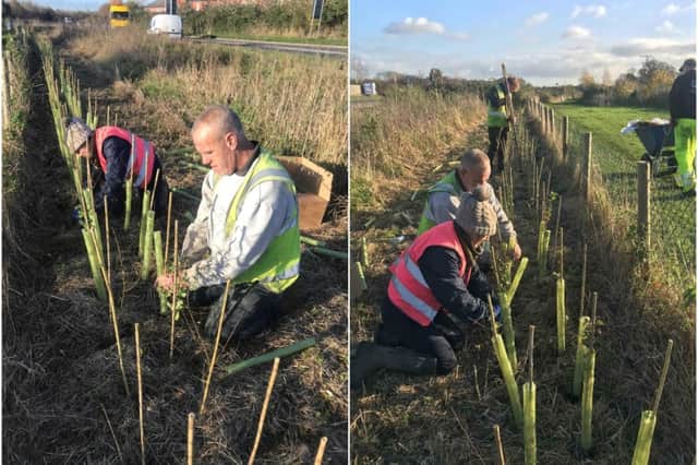 Members of the group planting hedgerow in Barford. Photos supplied
