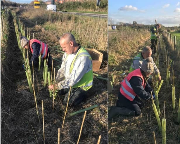 Members of the group planting hedgerow in Barford. Photos supplied
