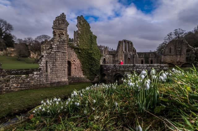 Spring is just around the corner at Fountains Abbey near Ripon in North Yorkshire.
Visitors to the National Trust site are able to view the thousands of snowdrops growing in drifts around the abbey and woodlands