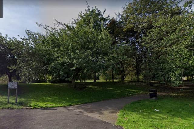 A group of trees in Coleshill’s Cole End Park have been saved from the axe after borough councillors called for an alternative to be found to the issue of their roots creating a trip hazard.