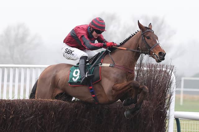 Eclair Surf clears the last in the Agetur UK LTD Classic Handicap Chase PICTURE BY DAVID PRATT