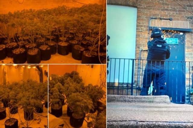Police have made two arrests after discovering a large cannabis factory in Leamington town centre. Photos by Leamington Police.