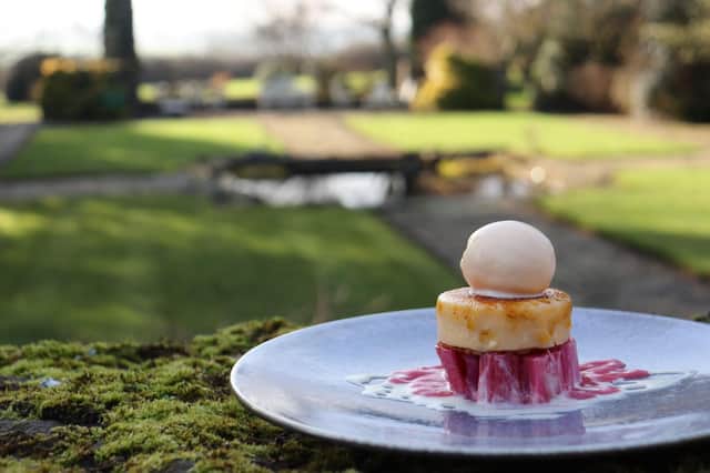 The forced English rhubarb dessert in the grounds of Mallory Court Hotel in Leamington. Photo supplied