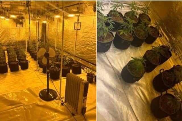 Police officers seized 97 cannabis plants growing across three floors. Photos by Warwickshire Police.