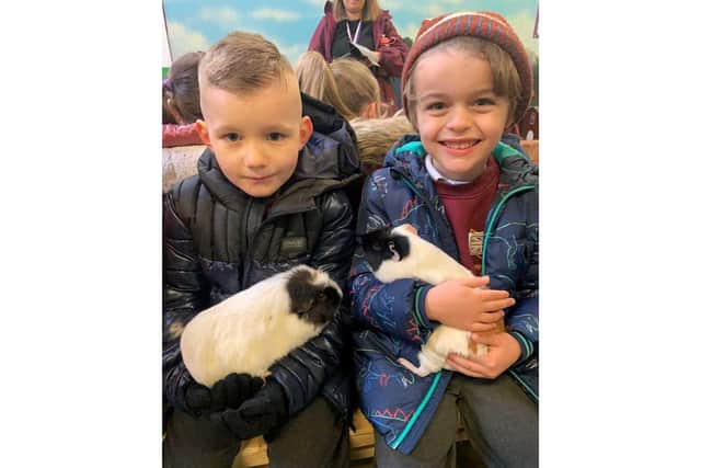 Pupils were also able to meet and pet some of the animals at the farmyard. Photo supplied