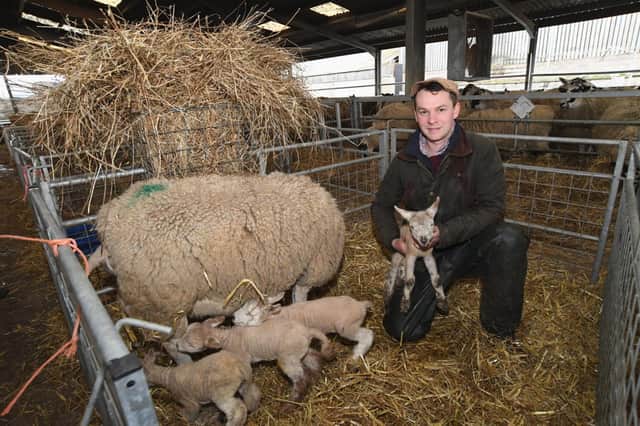 Nethermorton Farm manager Henry Dingle is set to welcome visitors to Moreton Morrell College’s annual lambing and animals weekend. Photo supplied