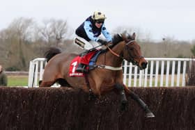 Edwardstone flies the last in the Virgin Bet Kingmaker Novices' Chase at Warwick Races on Saturday (Picture by David Pratt)