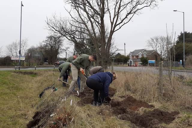 Volunteers have been planting trees and plants in Warwick to help the environment and to improve the area. Photo supplied