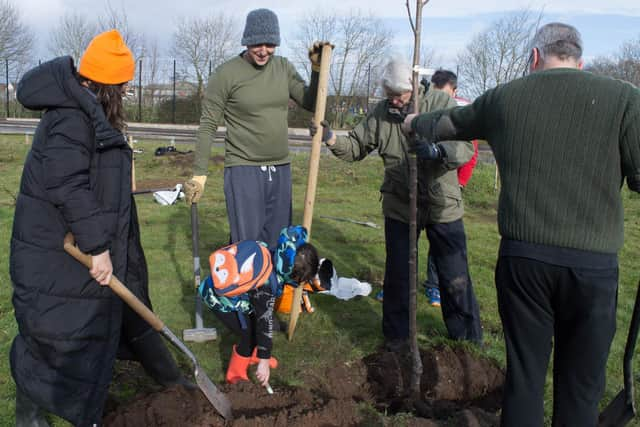 Volunteers have been planting trees and plants in Warwick to help the environment and to improve the area. Photo supplied