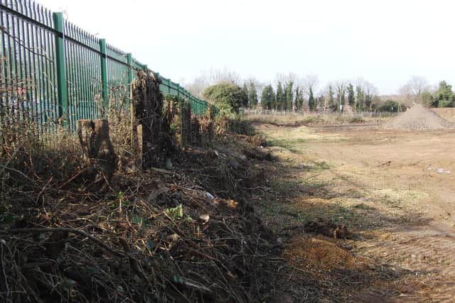 Work has been taking place in and around the site to remove trees and hedgerows