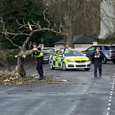 These photos by Dave Hastings show branches falling in Warwick Terrace, Leamington, near The Dell park.