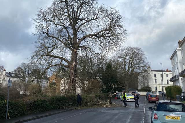 These photos by Dave Hastings show branches falling in Warwick Terrace, Leamington, near The Dell park.