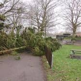 Branches have come down in St Nicholas Park