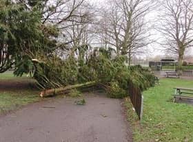 Branches have come down in St Nicholas Park