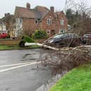 There continues to be a risk of fallen trees as Storm Franklin, the third storm in five days, hits Warwickshire. Photo by Warwickshire Road Safety Partnership.