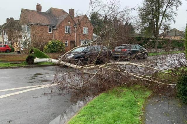 There continues to be a risk of fallen trees as Storm Franklin, the third storm in five days, hits Warwickshire. Photo by Warwickshire Road Safety Partnership.