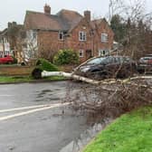 There continues to be a risk of fallen trees as Storm Franklin, the third storm in five days, hits Warwickshire. Photo by Warwickshire Road Safety Partnership.