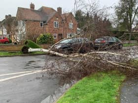 There continues to be a risk of fallen trees as Storm Franklin, the third storm in five days, hits Warwickshire. Photo by Warwickshire Road Safety Partnership.