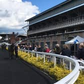 The parade ring in the sunshine