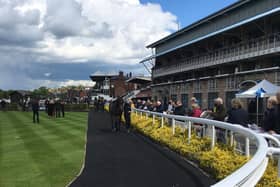The parade ring in the sunshine